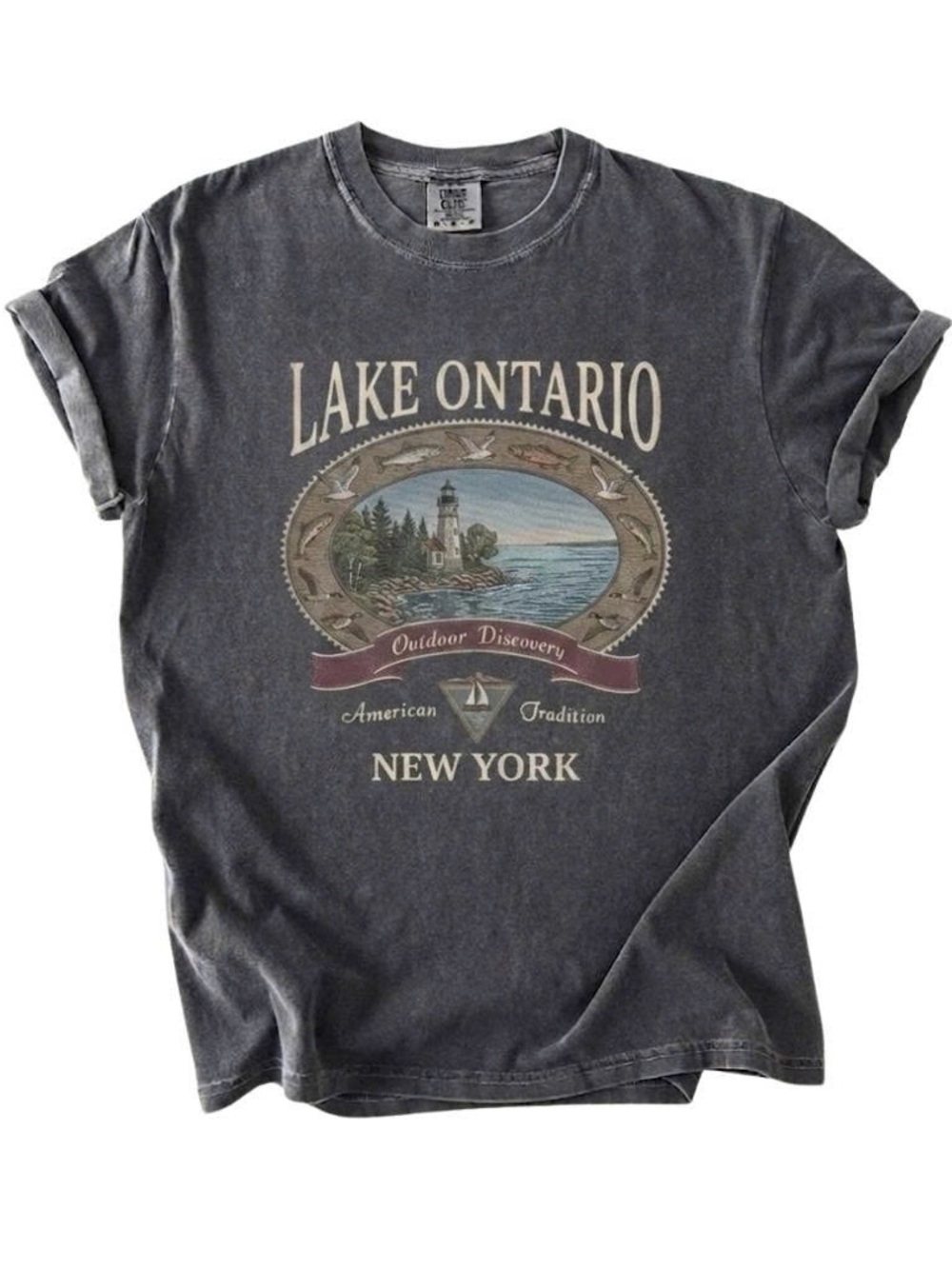 Vintage Lake Ontario New York Graphic Tee, Retro Comfort Colors